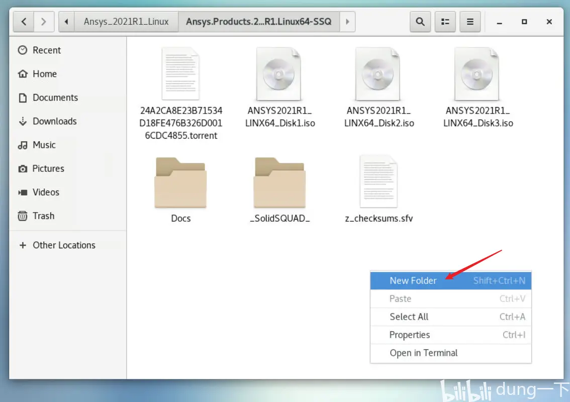 ansys fluent后处理